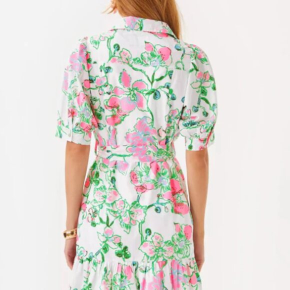 Lilly Pulitzer Sashria Dress - Picture 4 of 4